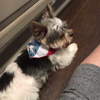 Colleens Mobile Pet Spa - Pet Groomers Near Me - Calabasas, California Colleens Mobile Pet Spa - Pet Groomers Near Me - Calabasas, California