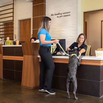 ANIMAL CANCER CARE CLINIC - Updated June 2026 - 45 Photos & 69