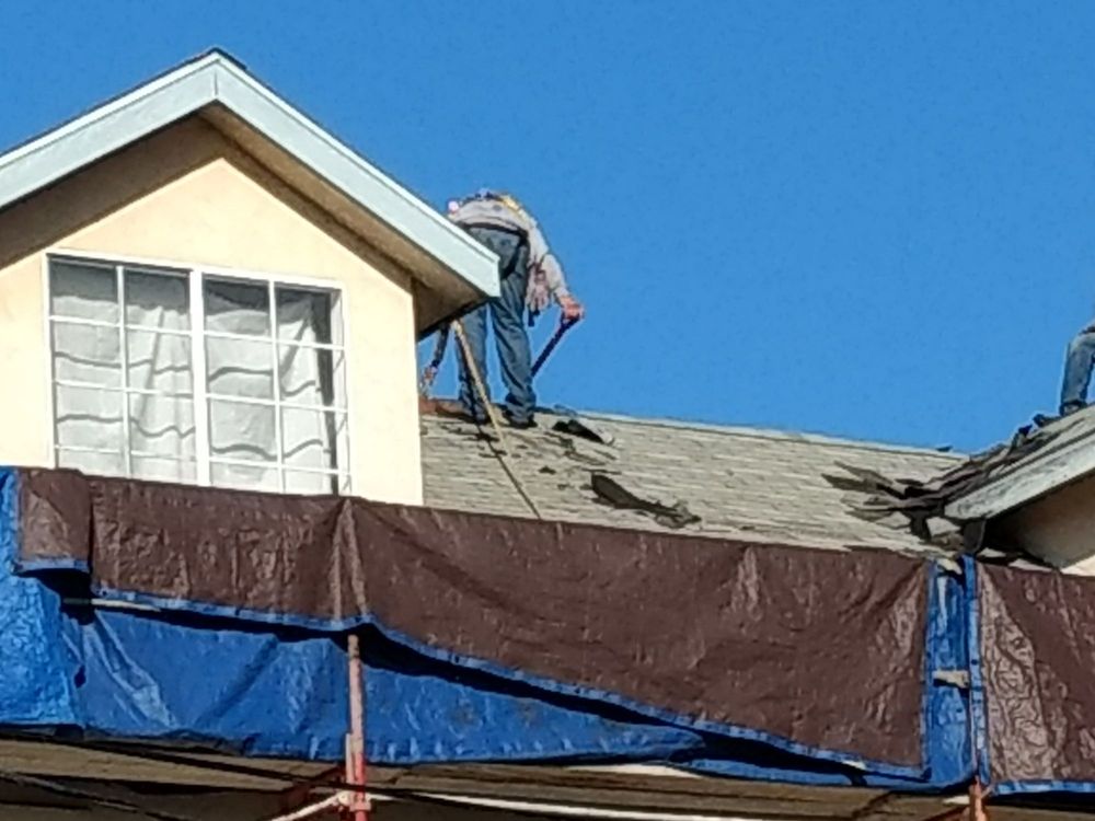 Slide of Alpha Demolition