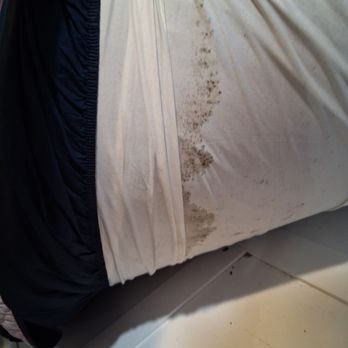 Yonegan Central Maui Getaways - This the mold under the mattress (looking for bedbugs). The host co. said expedia removed our 'false' review but yet we got a full refund. - Vacation Rentals Near Me - Wailuku, Hawaii Yonegan Central Maui Getaways - This the mold under the mattress (looking for bedbugs). The host co. said expedia removed our 'false' review but yet we got a full refund. - Vacation Rentals Near Me - Wailuku, Hawaii