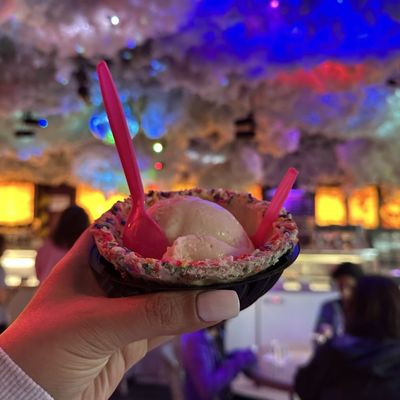Chocolate Shoppe Ice Cream by null