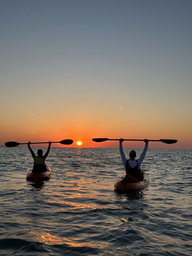 Myrtle Beach Paddle Board & Kayak Adventures Logo