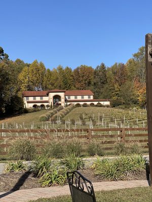 Running Hare Vineyard by null