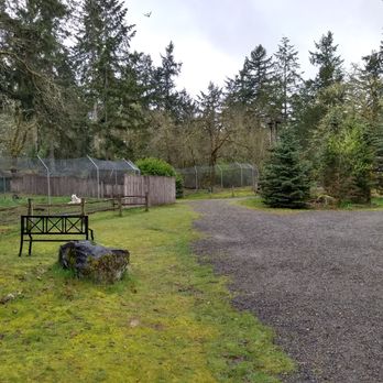 Wolf Haven International - guided tour area with gravel walking trail and enclosures. - Educational Services Near Me - Tenino, Washington Wolf Haven International - guided tour area with gravel walking trail and enclosures. - Educational Services Near Me - Tenino, Washington