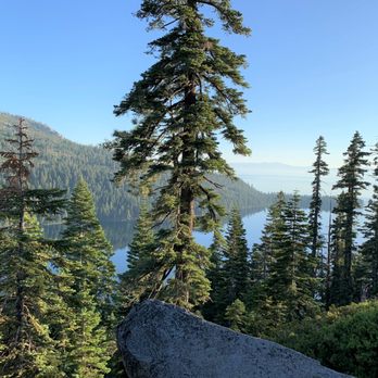 Inspiration Point - Disappointing....here from Inspiration Point Vista you can't see anything because of the continued growth of trees. - Parks Near Me - South Lake Tahoe, California