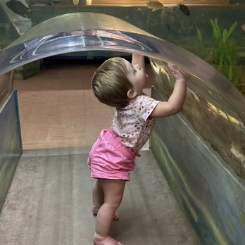 Biomes - Aquariums Near Me - North Kingstown, Rhode Island