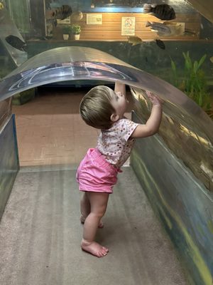 Biomes Marine Biology Center by null