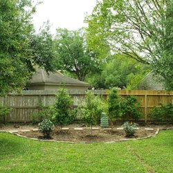 Bill Bownds Nursery - Three 15-gal Eagleston Holly trees that will eventually form a canopy.