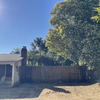 Schultz Tree Expert - After - Tree Services Near Me