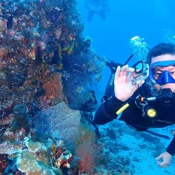 Thinking Divers