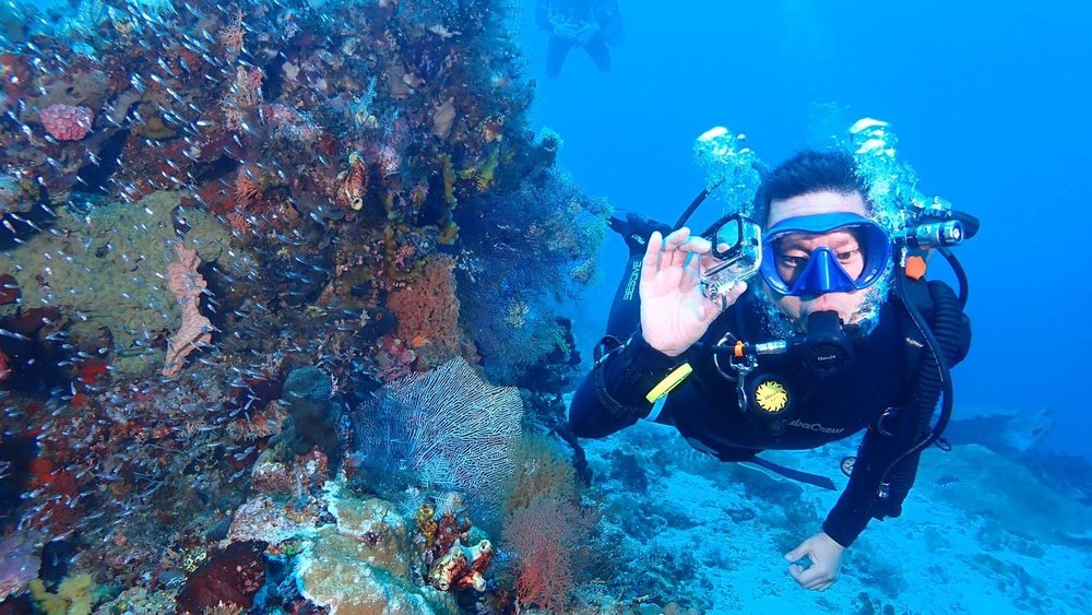 Thinking Divers Logo