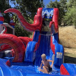 Royal Lion Party Rentals
