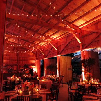 Inside Image Design - Wedding up lighting and globe lighting. - Party & Event Planning Near Me - Arlington, Texas Inside Image Design - Wedding up lighting and globe lighting. - Party & Event Planning Near Me - Arlington, Texas