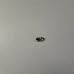 A & G Electric - another hole from the light literally just falling out.