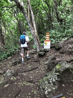 Kuli'ou'ou Valley Trail by null