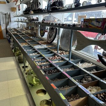 Marsh's Free Museum - Shells for days. - Antiques Near Me - Long Beach, Washington
