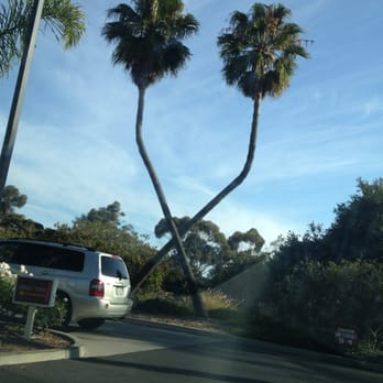 In-N-Out Burger - Trademark crosses palm trees at all In-n-Outs - Fast Food Near Me - Goleta, California