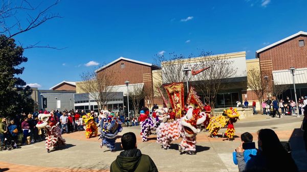 Houston Premium Outlets by null