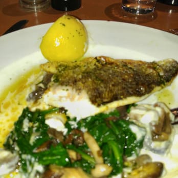 Coco Momo - Under the Sea Bream the bed of spinach and mushooms is generous and the cauliflower sauce is great. - Gastropubs Near Me - London, XGL Coco Momo - Under the Sea Bream the bed of spinach and mushooms is generous and the cauliflower sauce is great. - Gastropubs Near Me - London, XGL