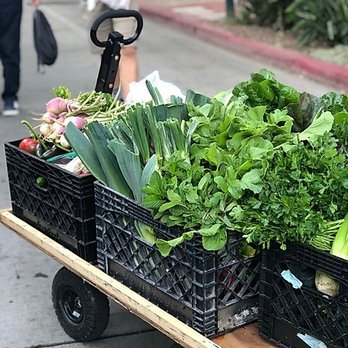 Market Forager - Fresh Farmers' Market Produce - Cooking Classes Near Me Market Forager - Fresh Farmers' Market Produce - Cooking Classes Near Me