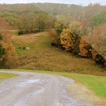 Bloomsbury Farm - The horses! The view! - Farms Near Me - Smyrna, Tennessee