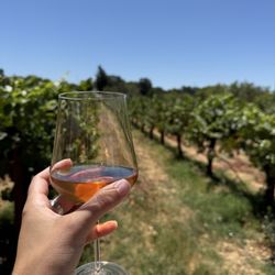 WOO GIRL! Cellars - Vineyards with their sparkling rose in hand!