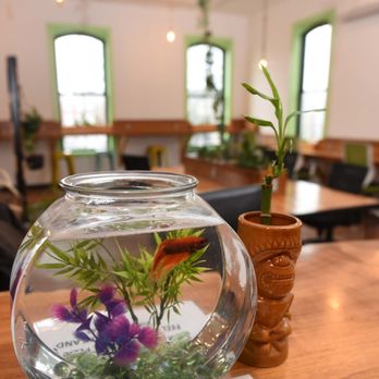 Greenspace Cowork - Frank the Fish - Shared Office Spaces Near Me - Greenfield, Massachusetts Greenspace Cowork - Frank the Fish - Shared Office Spaces Near Me - Greenfield, Massachusetts