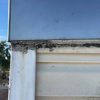 A-1 Chimney Specialists - Chase cover installed with no drip edge no growing mold - Chimney Sweeps Near Me - Joppa, Maryland A-1 Chimney Specialists - Chase cover installed with no drip edge no growing mold - Chimney Sweeps Near Me - Joppa, Maryland