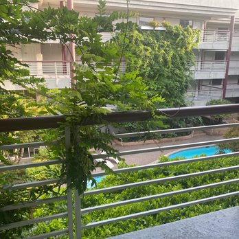 Cupertino Hotel - Lush courtyard - Hotels Near Me - Cupertino, California