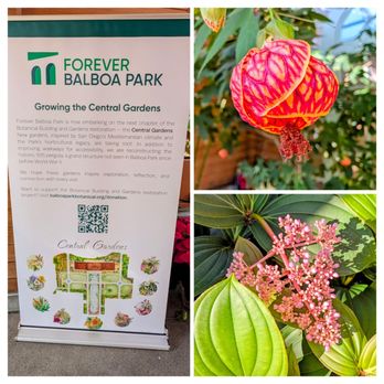 Balboa Park - Central Gardens - Museums Near Me - San Diego, California Balboa Park - Central Gardens - Museums Near Me - San Diego, California