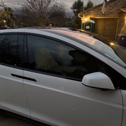 Precision Auto Armor - 2024 Model X passage side front door tint 50%