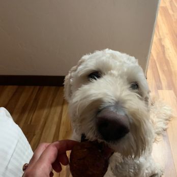 Sweet Reba's - Enjoying a pup cake! - Bakeries Near Me - Carmel, California