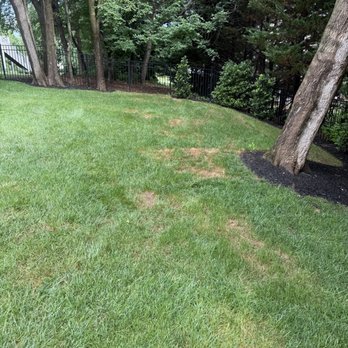 Weed Man - Pest Control Near Me - Purcellville, Virginia