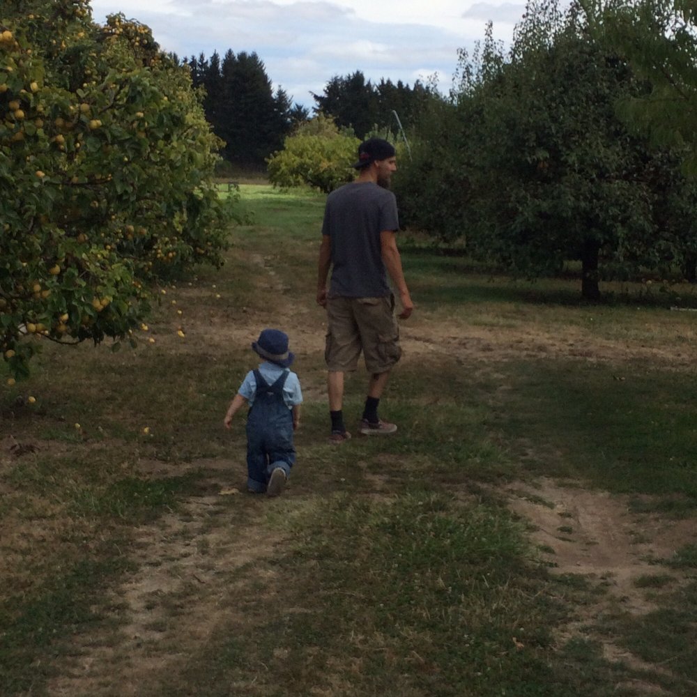 Adair's Orchards - a man and a child walking through an orchard - Farmers Market Near Me - Albany, Oregon Adair's Orchards - a man and a child walking through an orchard - Farmers Market Near Me - Albany, Oregon