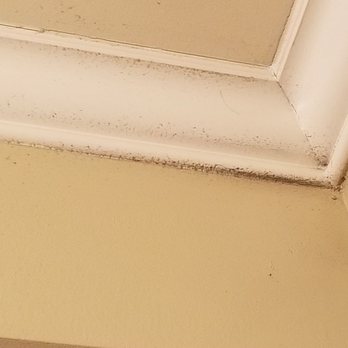 Riverstone Resort & Spa - Ceiling filth - Hotels Near Me - Pigeon Forge, Tennessee Riverstone Resort & Spa - Ceiling filth - Hotels Near Me - Pigeon Forge, Tennessee