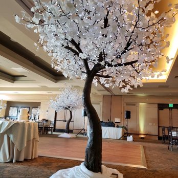 Twinkle Trees - 10 Ft White Gingkos - Party Equipment Rentals Near Me