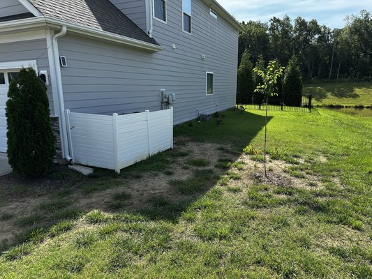 The Wizard Of Sod & More