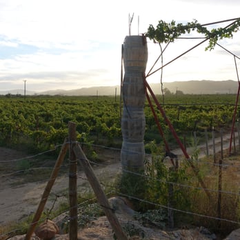 La Casa de Doña Lupe - Wineries Near Me - Ensenada, BCN