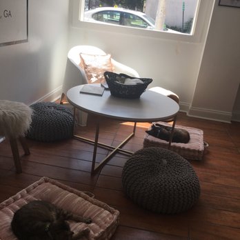 Pounce Cat Cafe - Themed Cafes Near Me - Savannah, Georgia