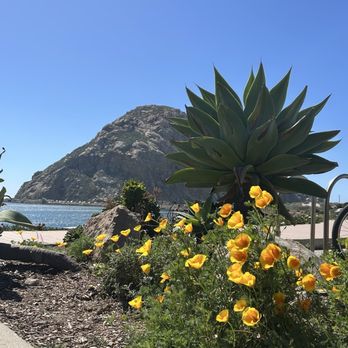 Cerro Alto Campground - Morro Bay - Campgrounds Near Me - Morro Bay, California Cerro Alto Campground - Morro Bay - Campgrounds Near Me - Morro Bay, California