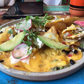 Tacology - Nachos - Mexican Near Me - Miami, Florida Tacology - Nachos - Mexican Near Me - Miami, Florida
