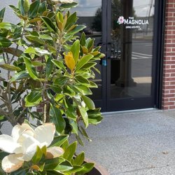 The Magnolia - Door Way