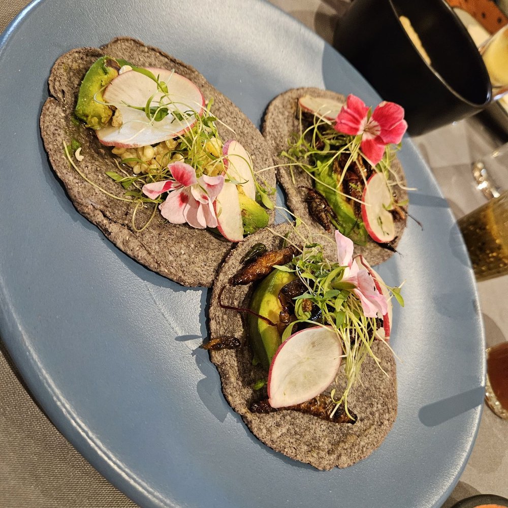 La Catarina - Tacos de chapuline (cricket), escamoles (some bug egg), and maguey (worm) - Mexican Near Me - Monterrey, NLE La Catarina - Tacos de chapuline (cricket), escamoles (some bug egg), and maguey (worm) - Mexican Near Me - Monterrey, NLE