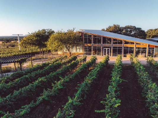 William Chris Vineyards by null William Chris Vineyards by null