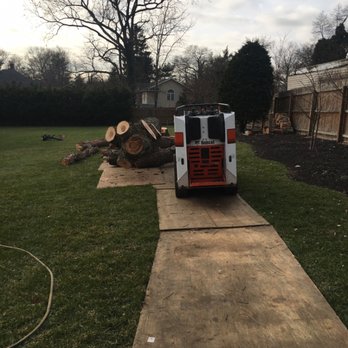 Cruz Tree Service - Tree Services Near Me - Long Branch, New Jersey Cruz Tree Service - Tree Services Near Me - Long Branch, New Jersey