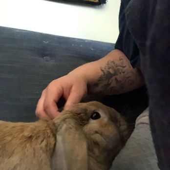 PDX Purrfessionals - Pedro was never happier - Pet Sitting Near Me PDX Purrfessionals - Pedro was never happier - Pet Sitting Near Me