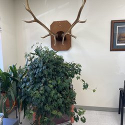 Sportsman Barber Shop - Decor