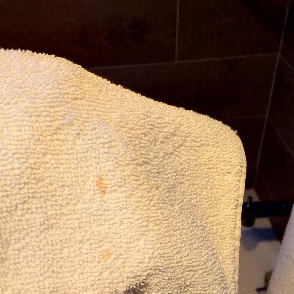 Ireland's Rustic Lodges - The towels in the room were so gross, I called the office and requested new ones. They were covered in hairs & flecked with orange stains. - Hotels Near Me - Gold Beach, Oregon Ireland's Rustic Lodges - The towels in the room were so gross, I called the office and requested new ones. They were covered in hairs & flecked with orange stains. - Hotels Near Me - Gold Beach, Oregon
