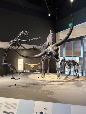 North Dakota Heritage Center & State Museum by null