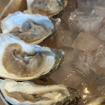 Lighthouse Oyster Bar & Grill - $1 oysters - Seafood Near Me - Oceanside, California Lighthouse Oyster Bar & Grill - $1 oysters - Seafood Near Me - Oceanside, California